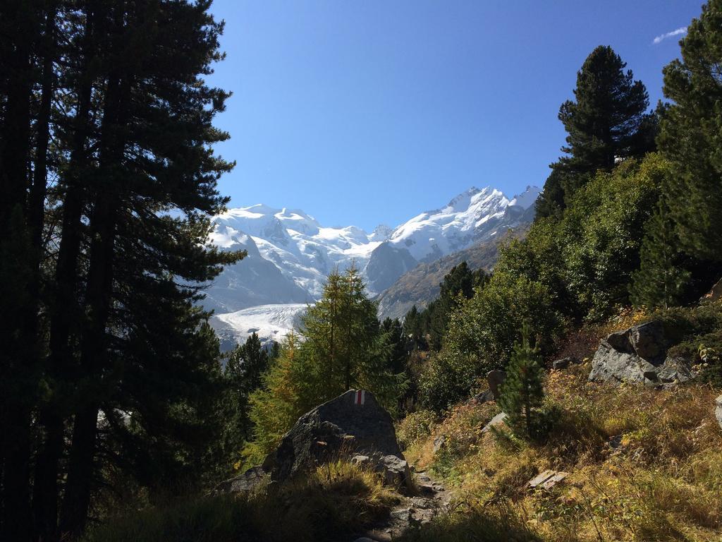 Hotel Bernina Pontresina Eksteriør bilde